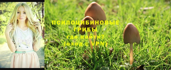 бошки Козельск