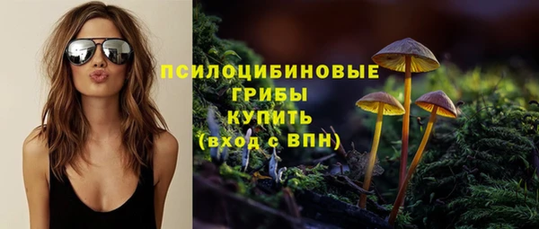 а пвп мука Козловка